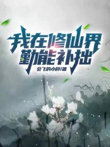 33小说网 我在修仙界勤能补拙