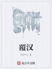 33小说网 覆汉