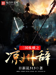 33小说网 三国纵横之凉州辞