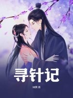 33小说网 寻针记