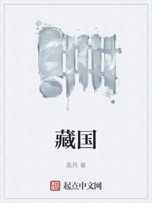 33小说网 藏国