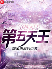 33小说网 小精灵之第五天王