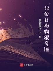 33小说网 我的召唤物很奇怪