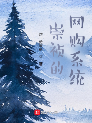 33小说网 崇祯的网购系统