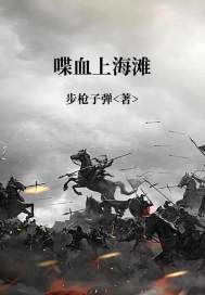 33小说网 喋血上海滩