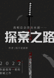 33小说网 探案之路