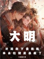 33小说网 大明：开局救下袁崇焕，朱由检彻底杀疯了