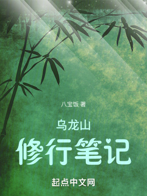 33小说网 乌龙山修行笔记
