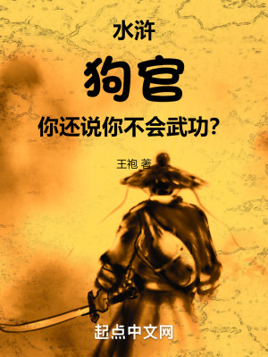33小说网 水浒：狗官，你还说你不会武功？