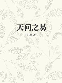 33小说网 天问之易