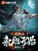 33小说网 武侠从射雕开始