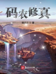 33小说网 码农修真