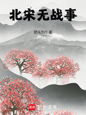 33小说网 北宋无战事