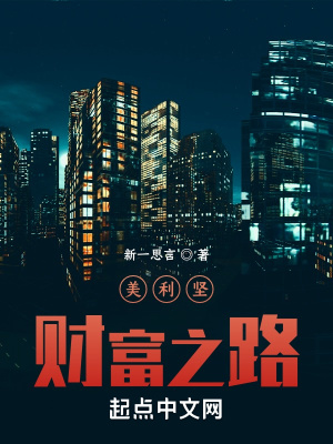 33小说网 美利坚财富之路