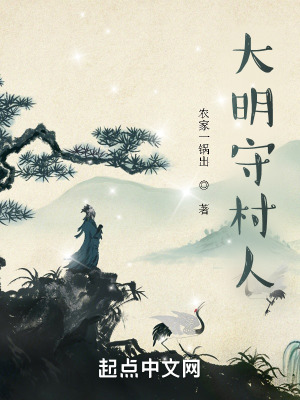 33小说网 大明守村人
