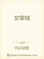 33小说网 女宰辅