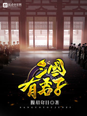 33小说网 三国有君子