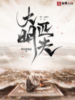 33小说网 大明匹夫