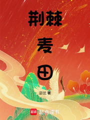 33小说网 荆棘麦田
