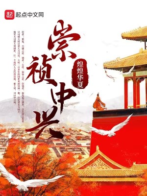 33小说网 崇祯中兴