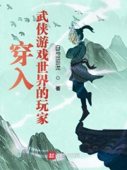 33小说网 穿入武侠游戏世界的玩家