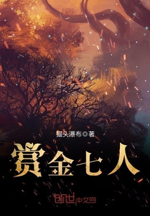33小说网 赏金七人