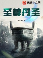 33小说网 至尊丹圣