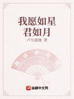 33小说网 我愿如星君如月