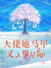 33小说网 大佬她马甲又A爆星际