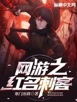 33小说网 网游之红名刺客