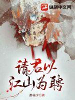 33小说网 请君以江山为聘