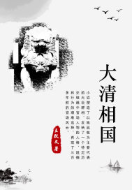 33小说网 大清相国.