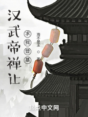 33小说网 汉武帝禅让，求我登基