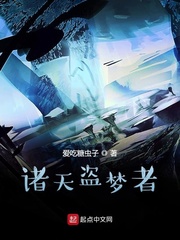33小说网 诸天盗梦者