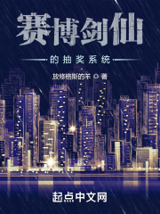 33小说网 赛博剑仙的抽奖系统