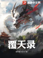 33小说网 覆天录