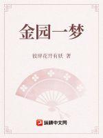 33小说网 金园一梦