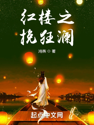 33小说网 红楼之挽狂澜