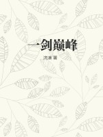 33小说网 一剑巅峰