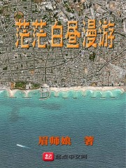 33小说网 茫茫白昼漫游
