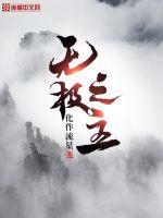 33小说网 无极之主