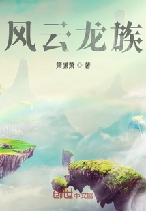 33小说网 风云龙族