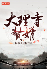 33小说网 大理寺赘婿