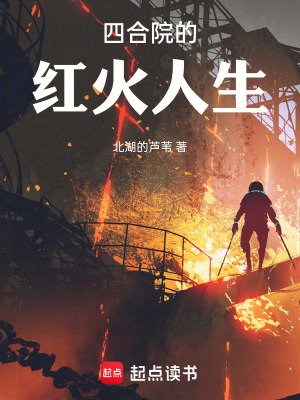 33小说网 四合院的红火人生