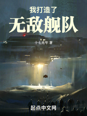 33小说网 我打造了无敌舰队
