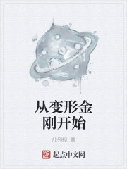 33小说网 从变形金刚开始
