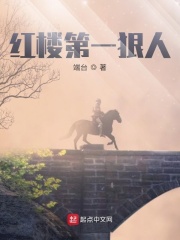 33小说网 红楼第一狠人