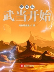 33小说网 穿越从武当开始