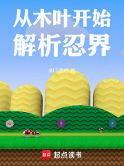 33小说网 从木叶开始解析忍界