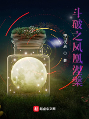33小说网 斗破之凤凰涅槃